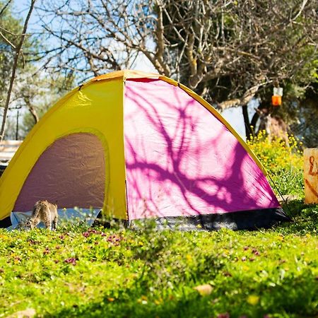 Camping Panorama Otel Ouazzane Dış mekan fotoğraf