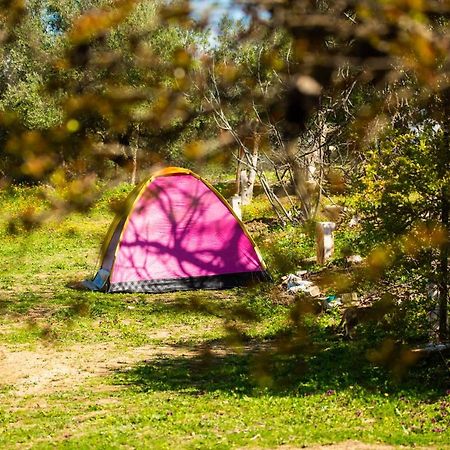 Camping Panorama Otel Ouazzane Dış mekan fotoğraf